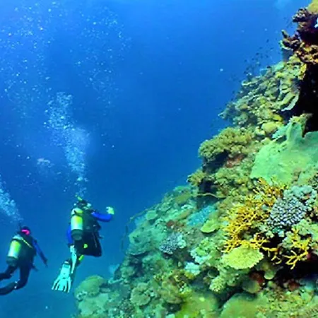 Stunning Luxury Private Pool, Gale Albufeira