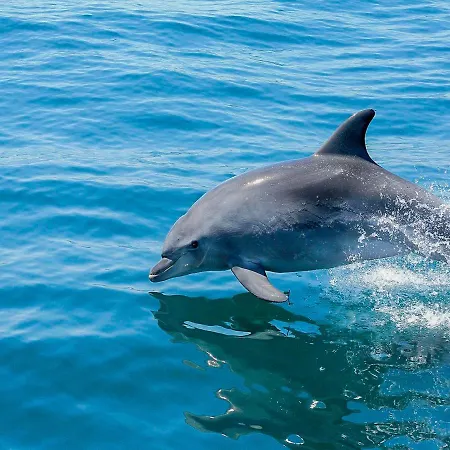 Stunning Luxury Private Pool, Gale Villa *